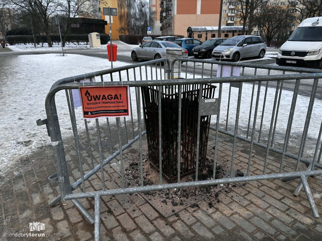 Koksowniki na ulicach Torunia