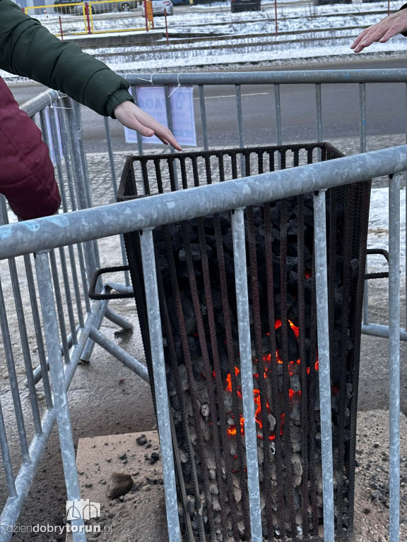 Koksowniki na ulicach Torunia