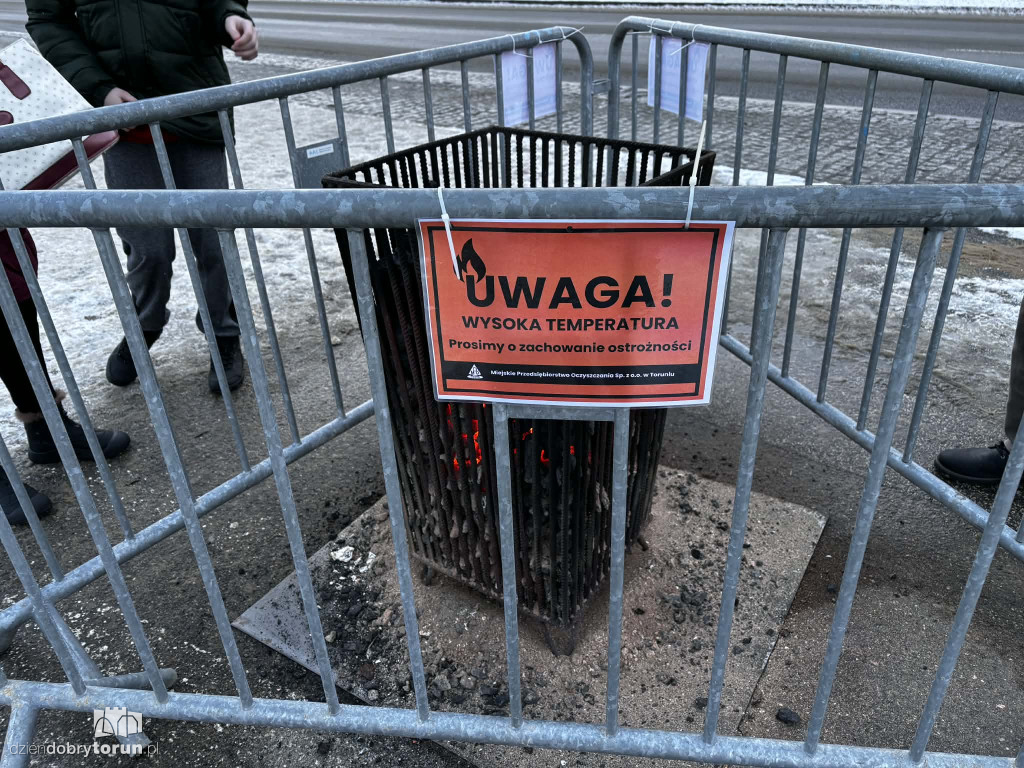 Koksowniki na ulicach Torunia