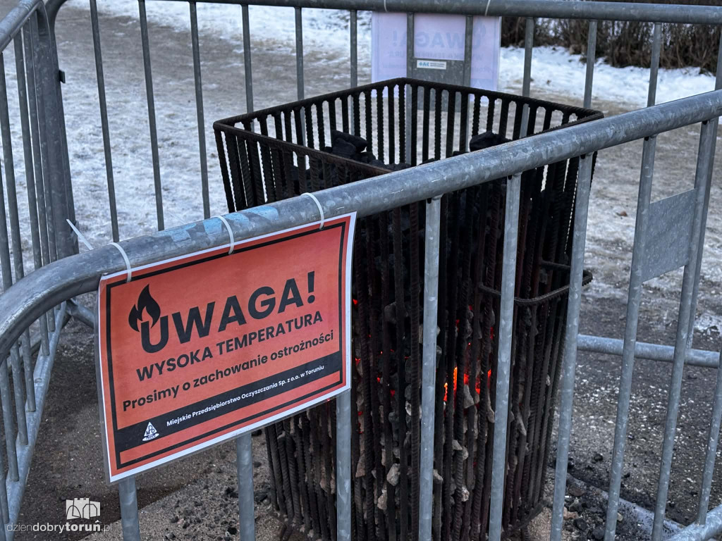 Koksowniki na ulicach Torunia