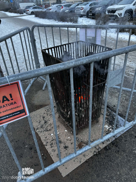 Koksowniki na ulicach Torunia