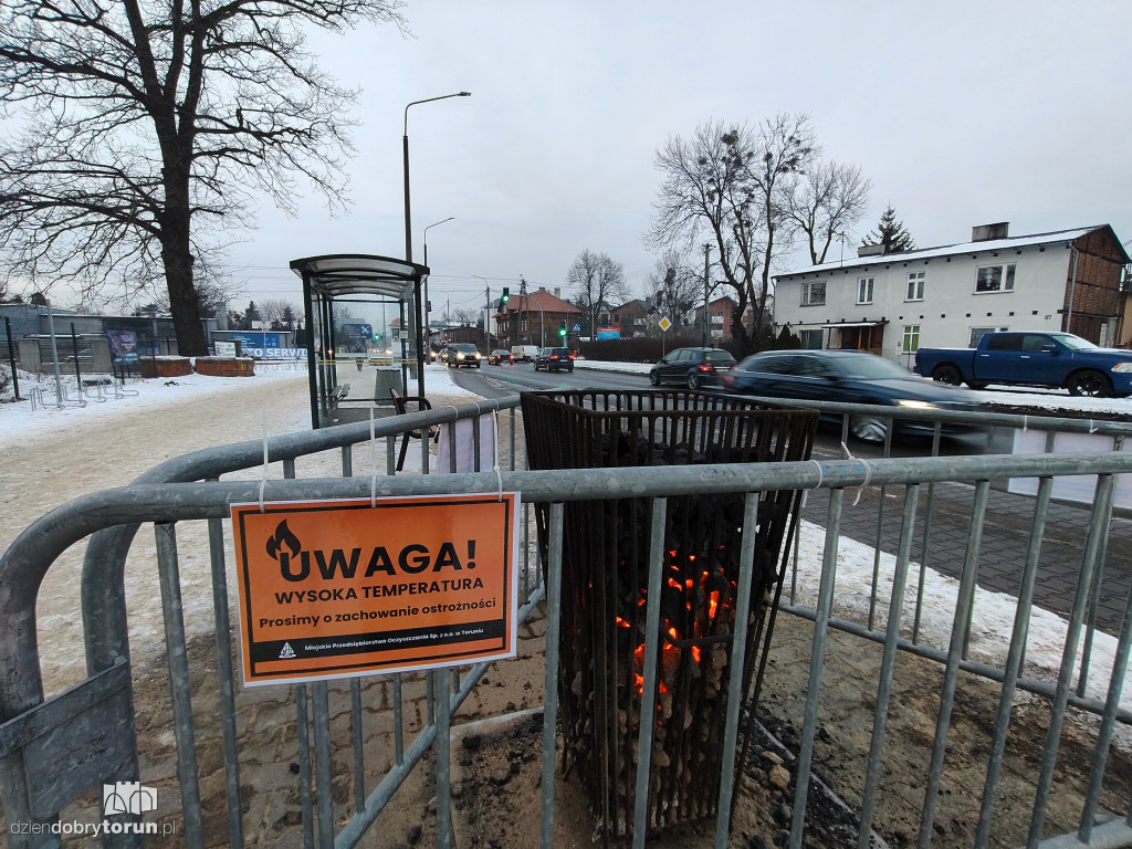 Koksowniki na ulicach Torunia