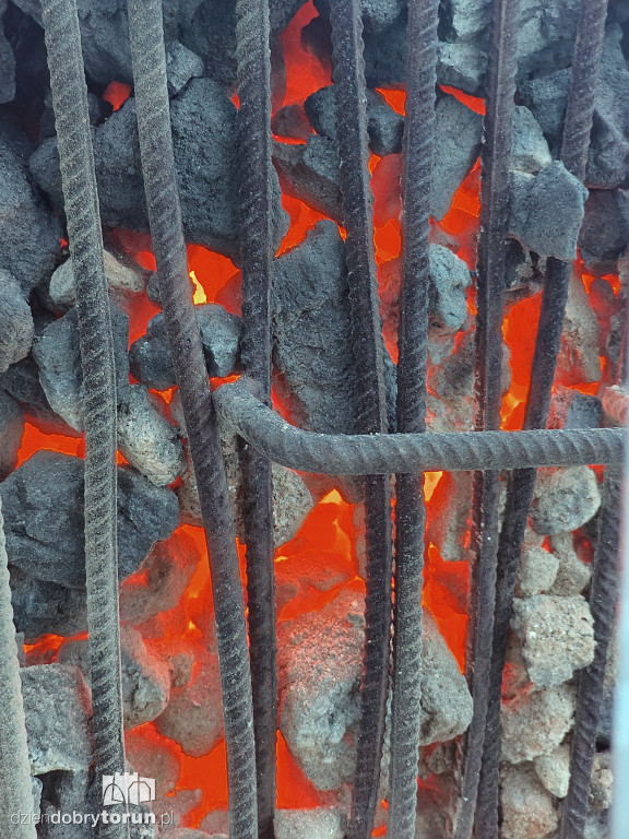 Koksowniki na ulicach Torunia