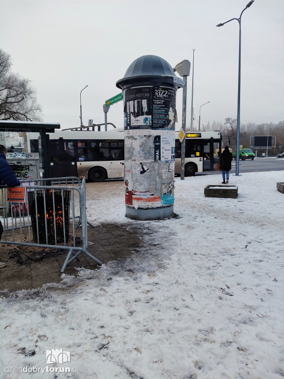 Koksowniki na ulicach Torunia