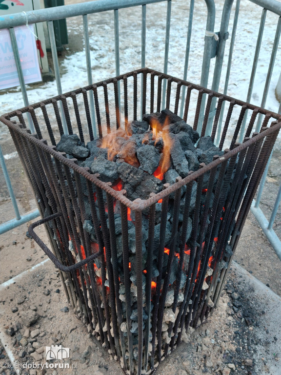 Koksowniki na ulicach Torunia