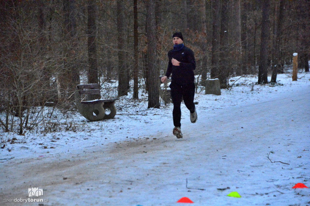 Zimowy parkrun w Toruniu