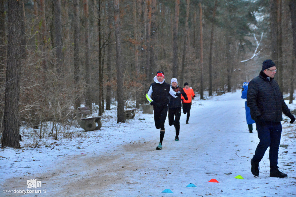 Zimowy parkrun w Toruniu