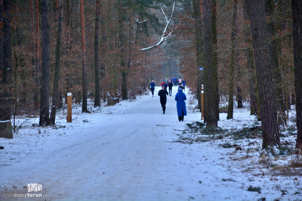 Zimowy parkrun w Toruniu