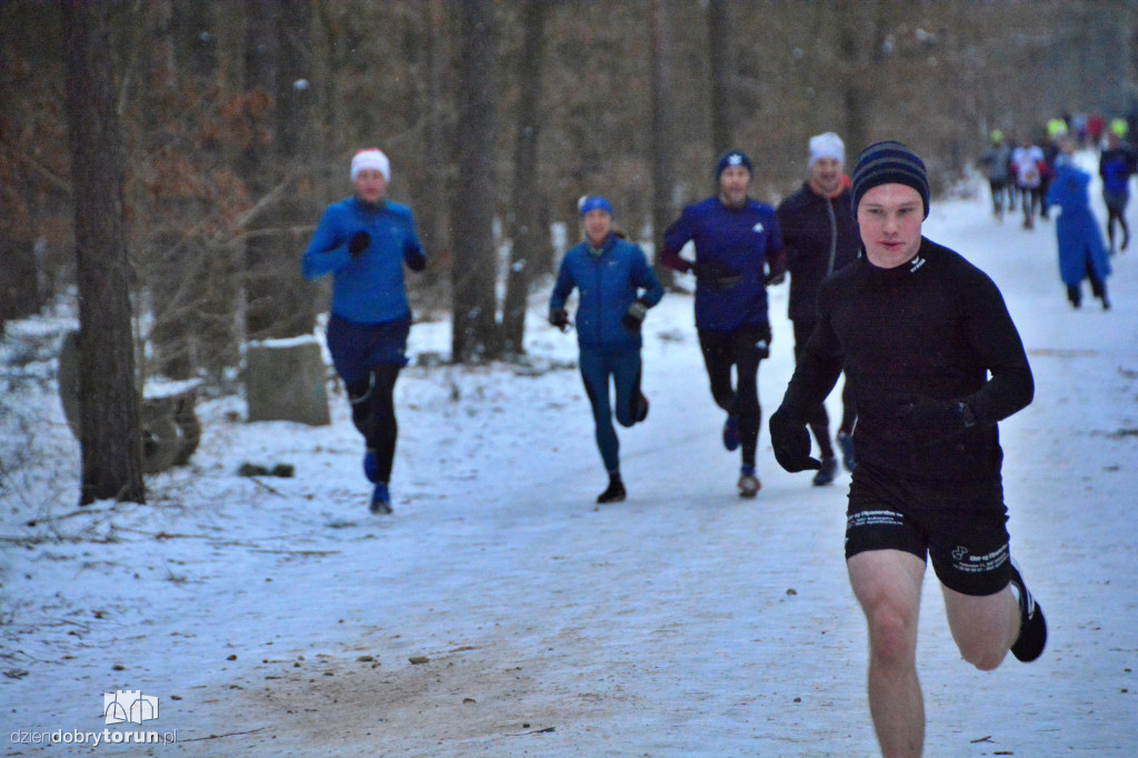 Zimowy parkrun w Toruniu