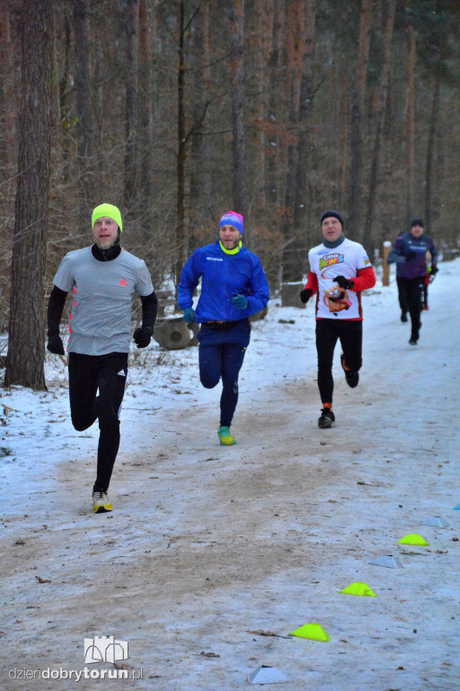 Zimowy parkrun w Toruniu