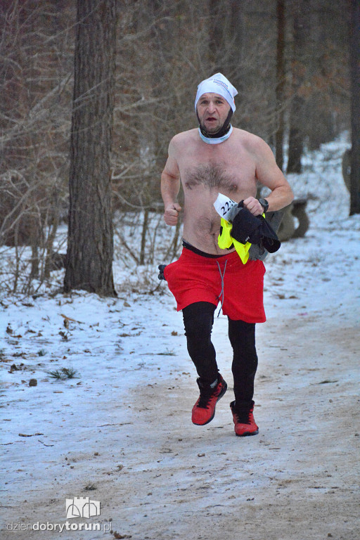 Zimowy parkrun w Toruniu