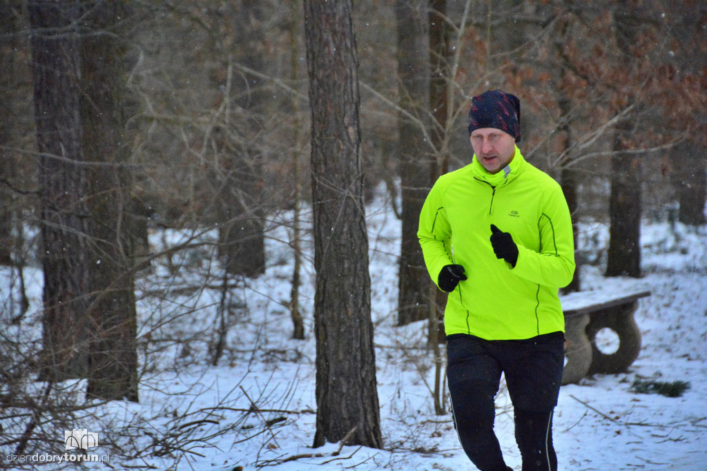 Zimowy parkrun w Toruniu