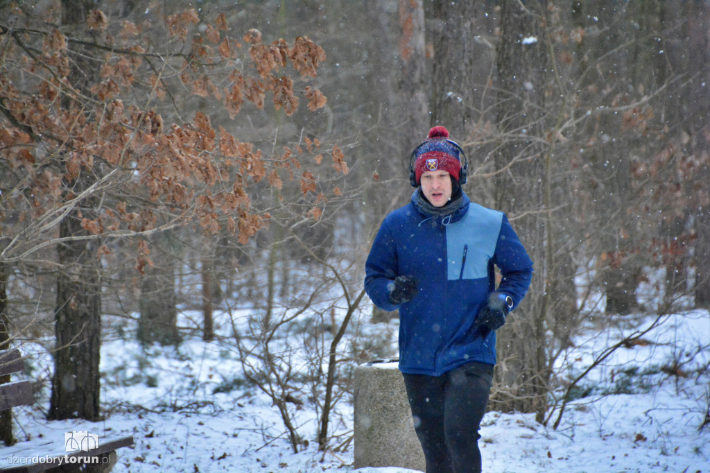 Zimowy parkrun w Toruniu