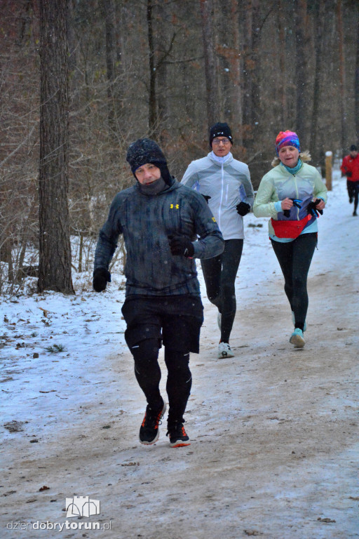 Zimowy parkrun w Toruniu