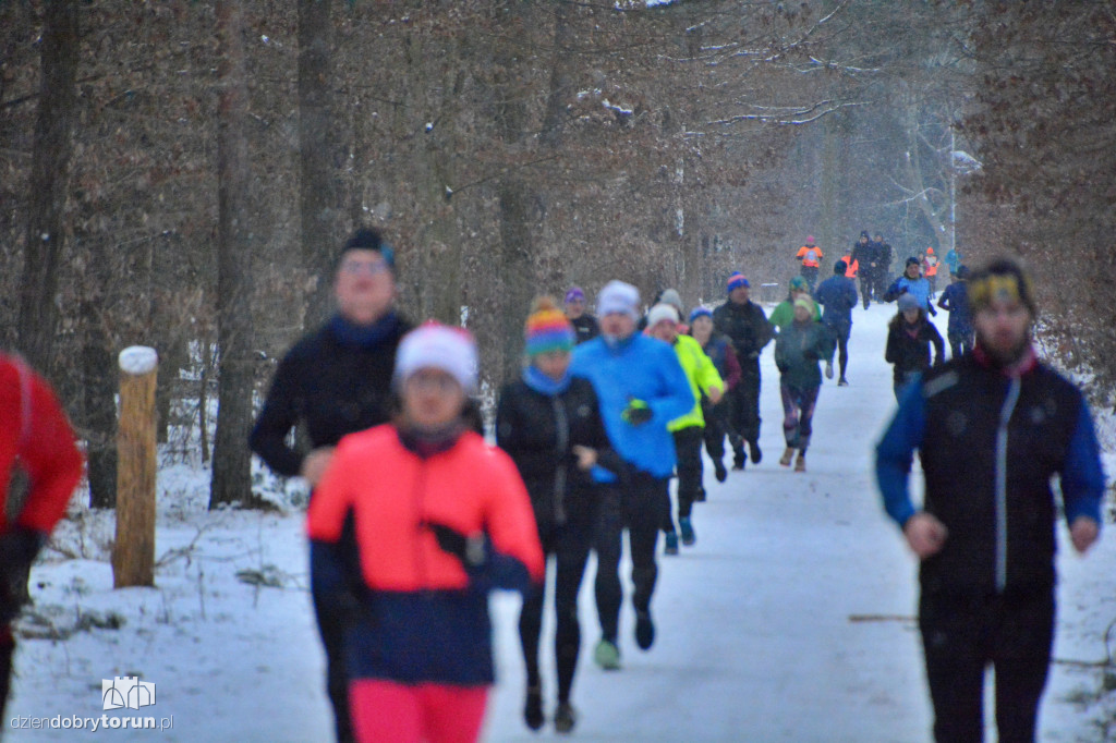 Zimowy parkrun w Toruniu