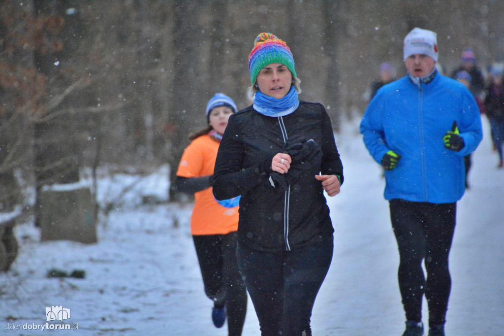 Zimowy parkrun w Toruniu