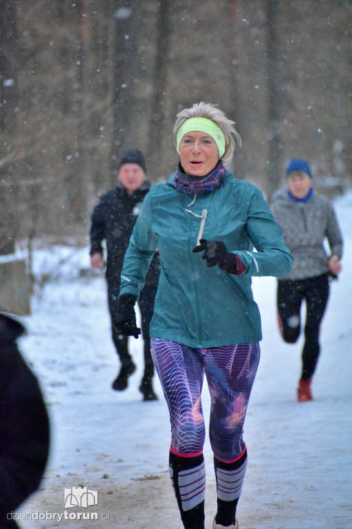 Zimowy parkrun w Toruniu
