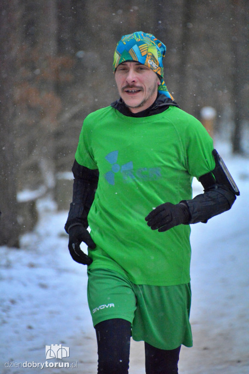 Zimowy parkrun w Toruniu