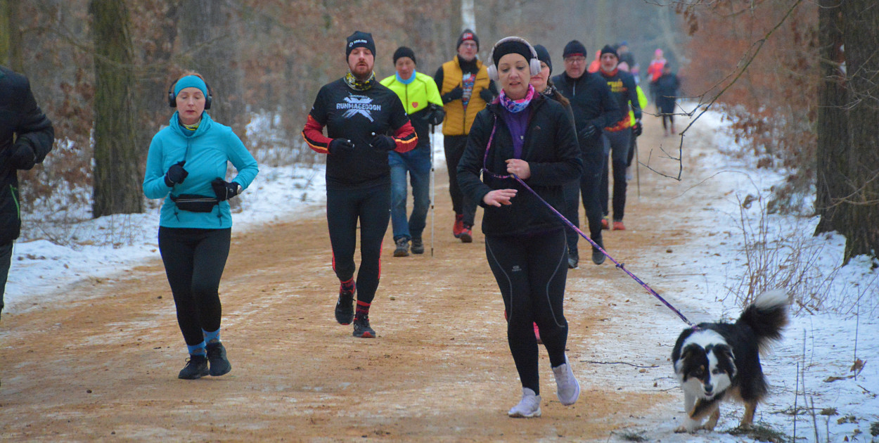 Parkrun Toruń dla WOŚP