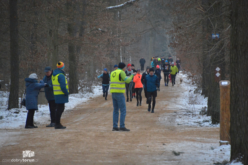 Parkrun Toruń dla WOŚP