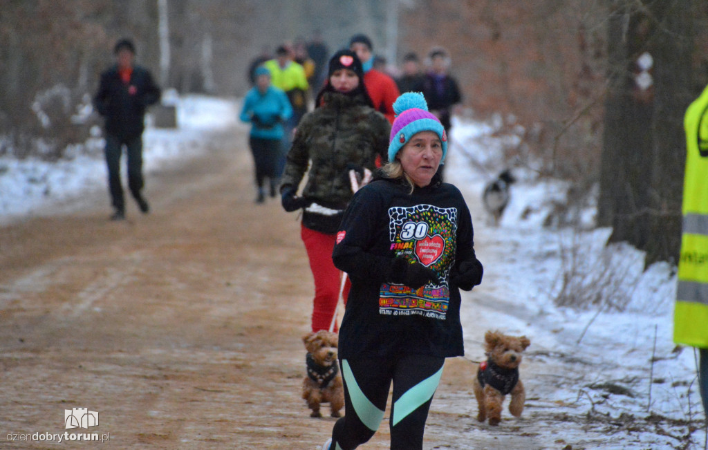 Parkrun Toruń dla WOŚP