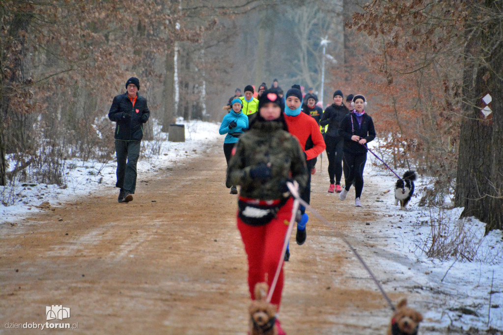 Parkrun Toruń dla WOŚP