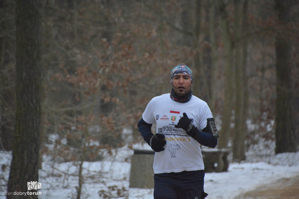 Parkrun Toruń dla WOŚP