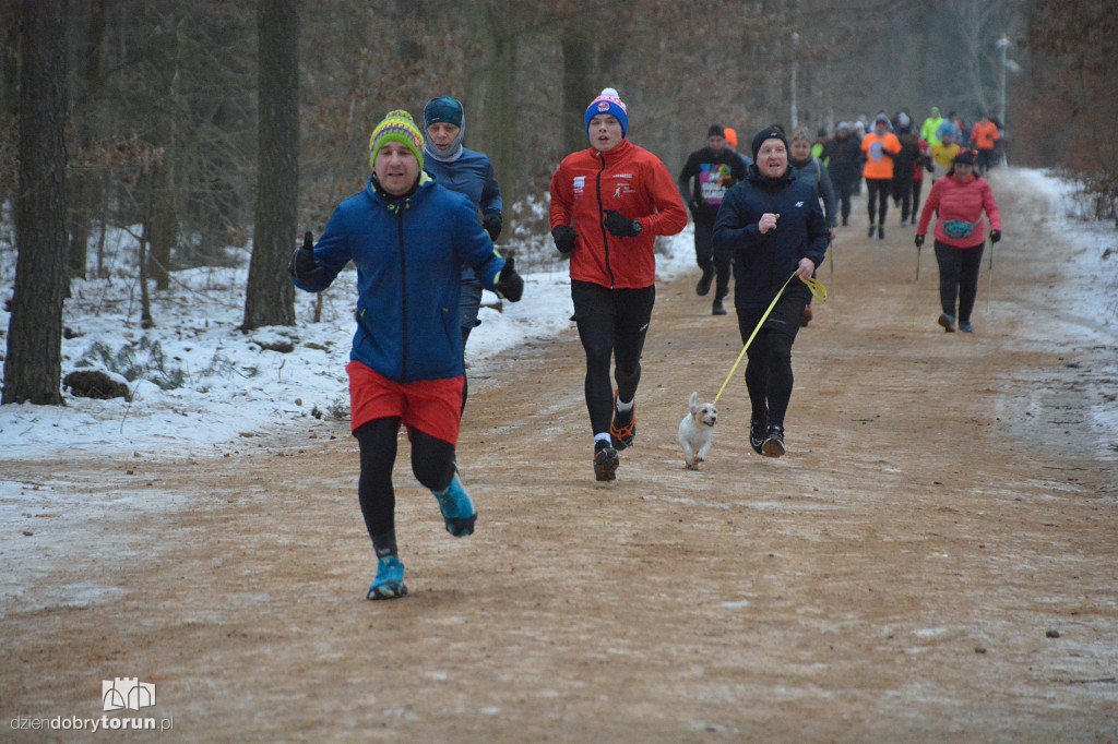 Parkrun Toruń dla WOŚP