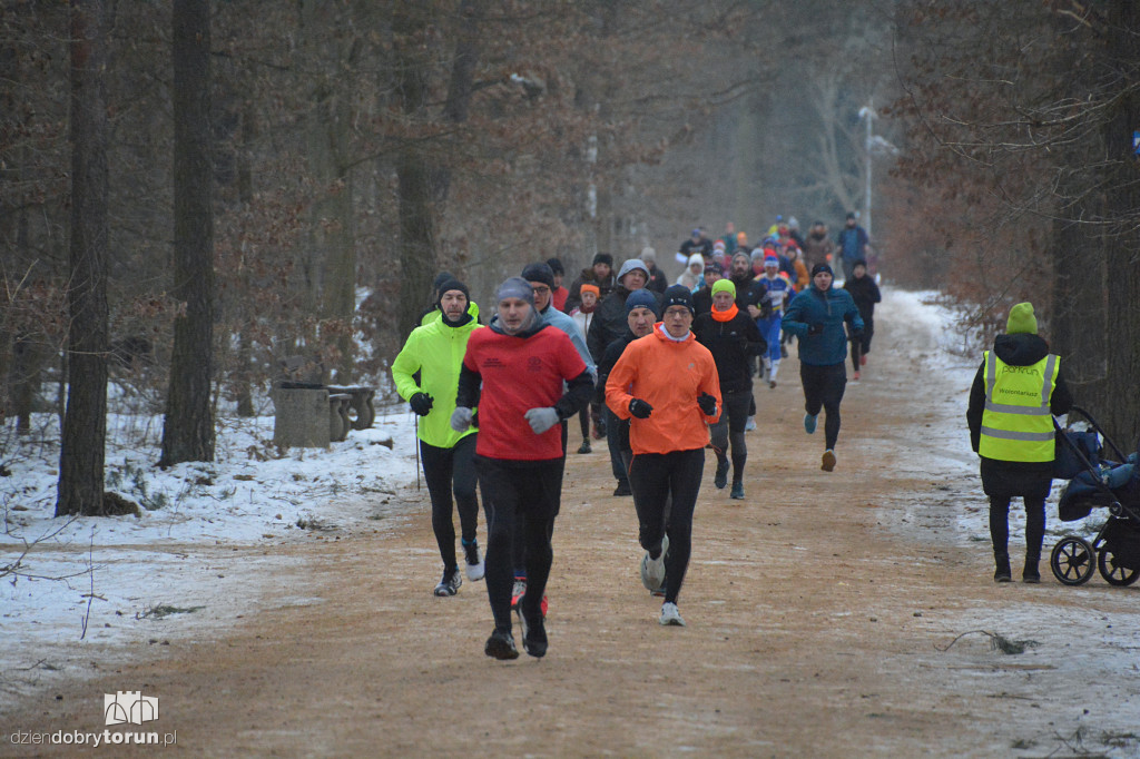 Parkrun Toruń dla WOŚP
