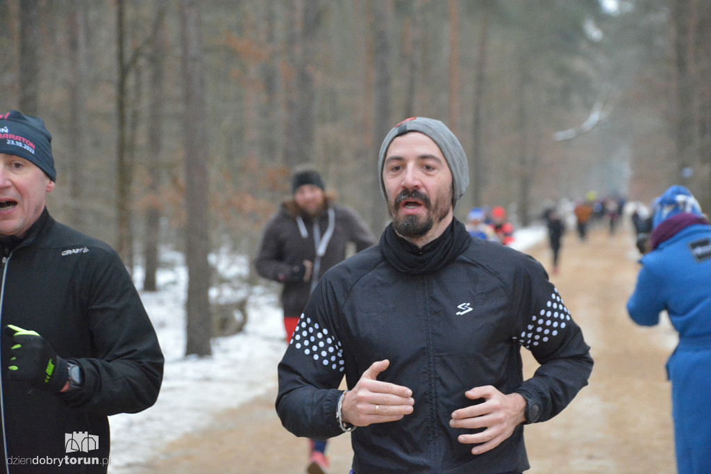 Parkrun Toruń dla WOŚP