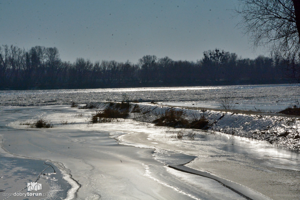 Wisła w Toruniu zamarza