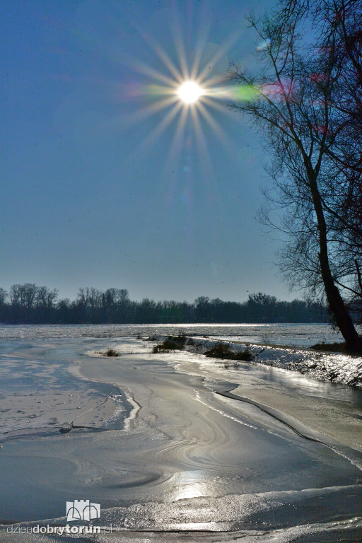 Wisła w Toruniu zamarza