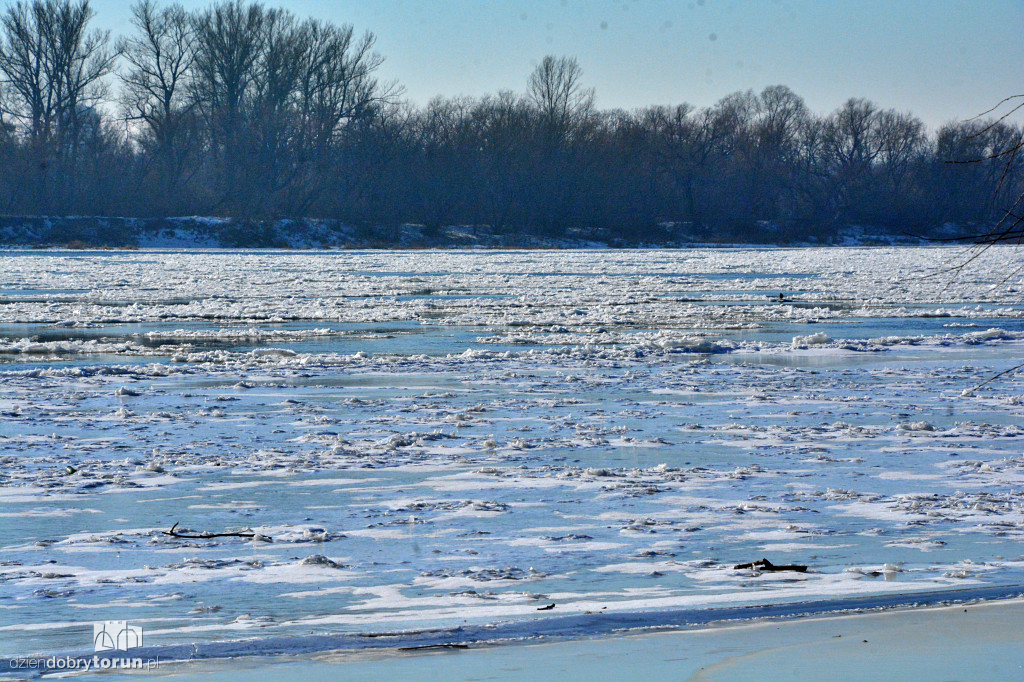 Wisła w Toruniu zamarza