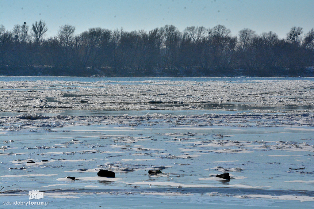 Wisła w Toruniu zamarza