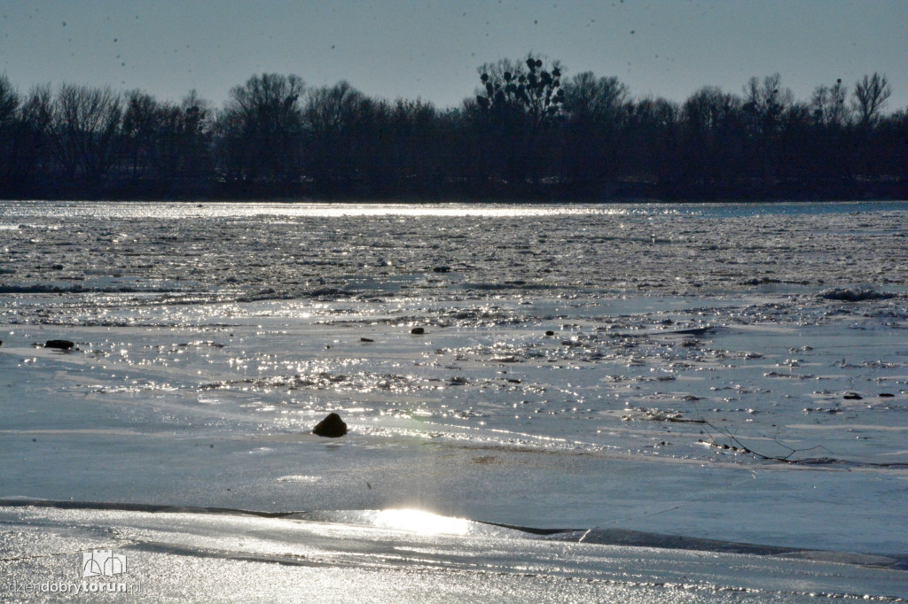 Wisła w Toruniu zamarza