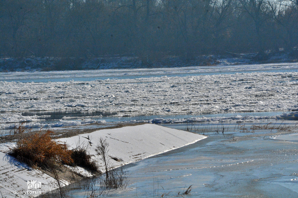 Wisła w Toruniu zamarza