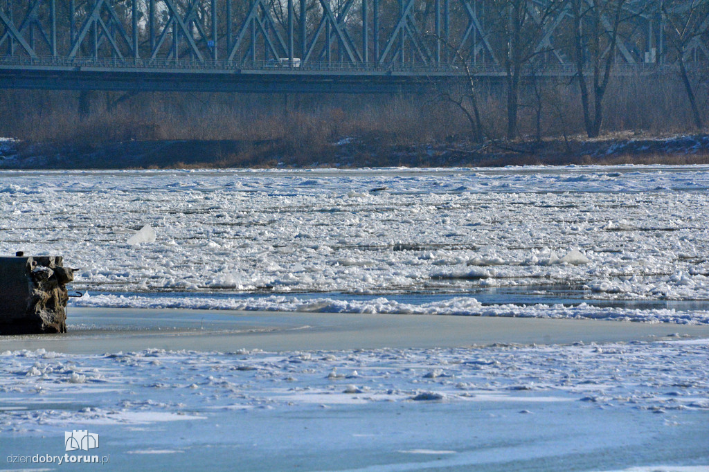 Wisła w Toruniu zamarza
