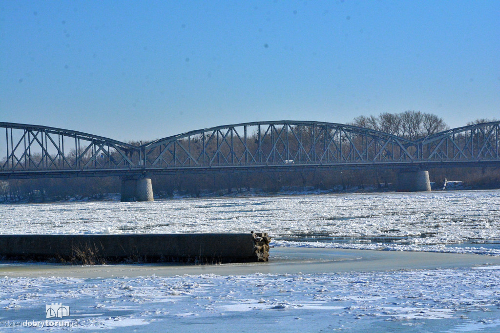 Wisła w Toruniu zamarza