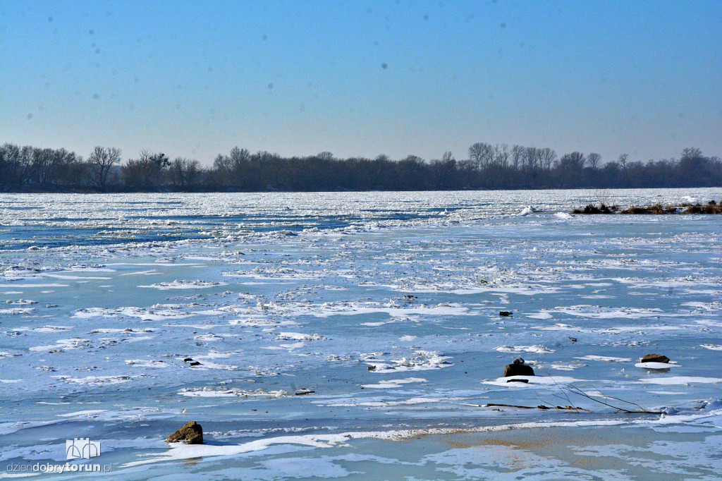 Wisła w Toruniu zamarza