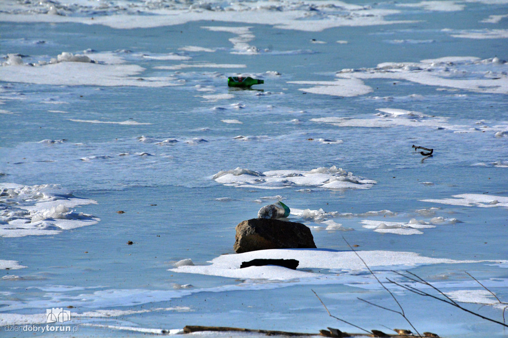Wisła w Toruniu zamarza