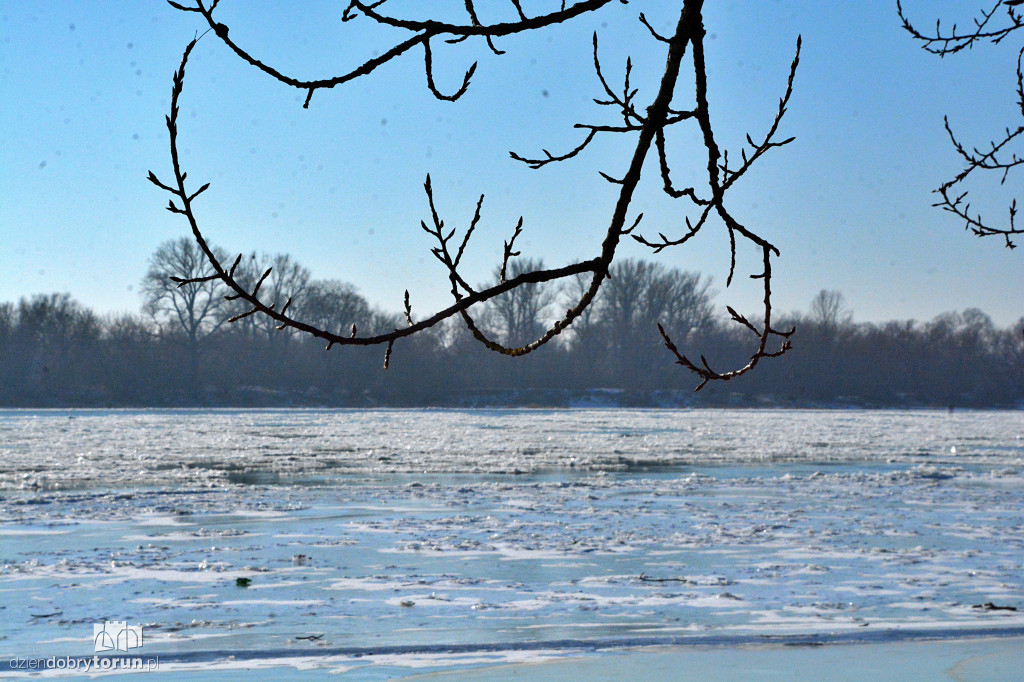 Wisła w Toruniu zamarza