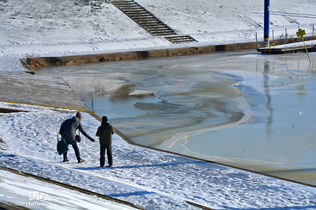 Wisła w Toruniu zamarza