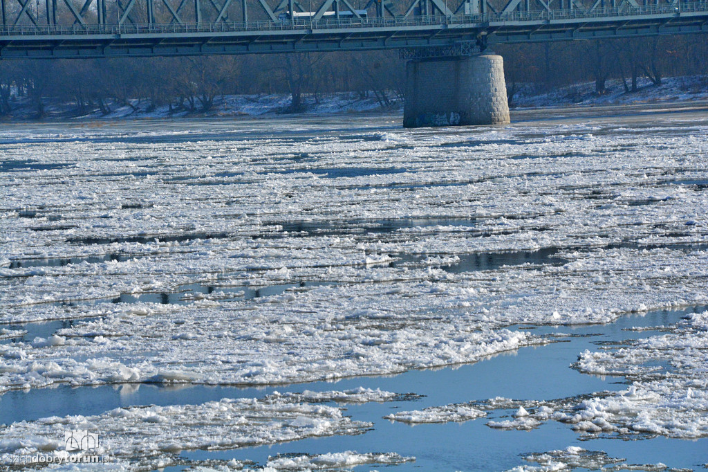 Wisła w Toruniu zamarza
