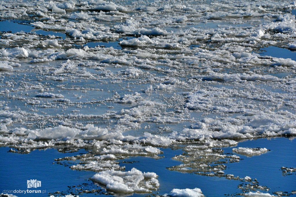 Wisła w Toruniu zamarza