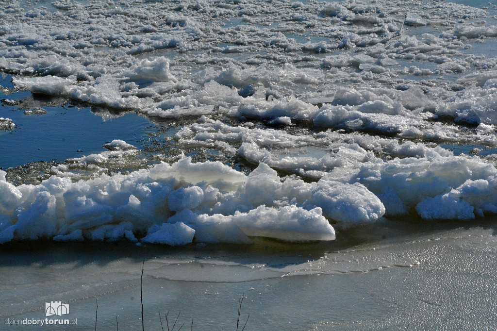 Wisła w Toruniu zamarza