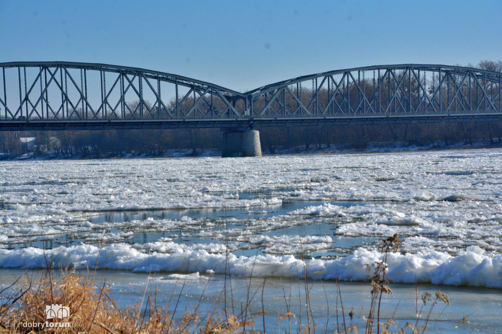 Wisła w Toruniu zamarza