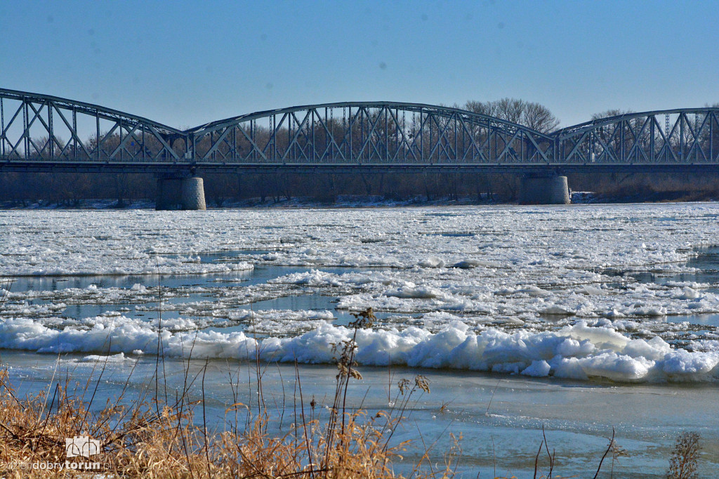 Wisła w Toruniu zamarza