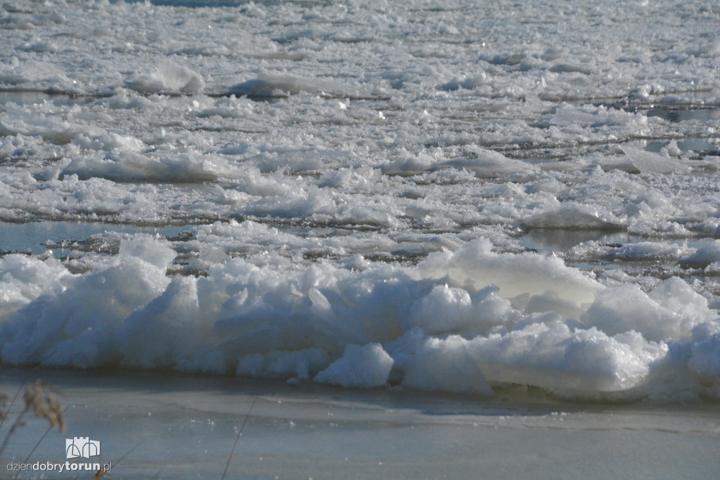 Wisła w Toruniu zamarza