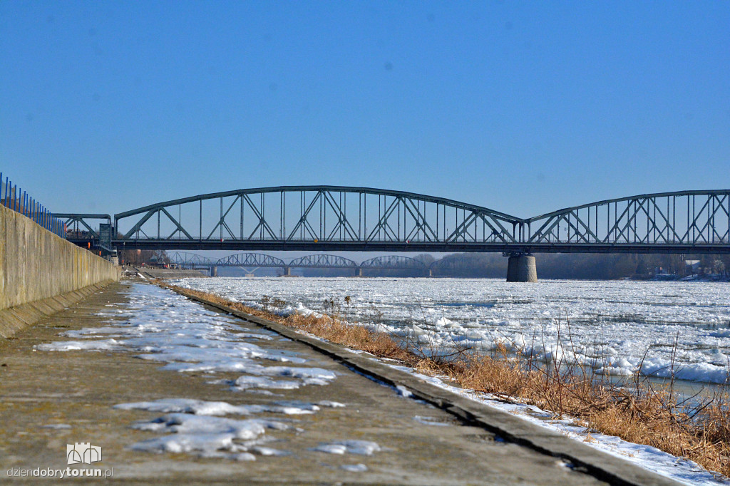 Wisła w Toruniu zamarza