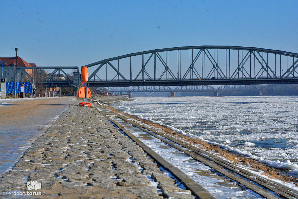 Wisła w Toruniu zamarza